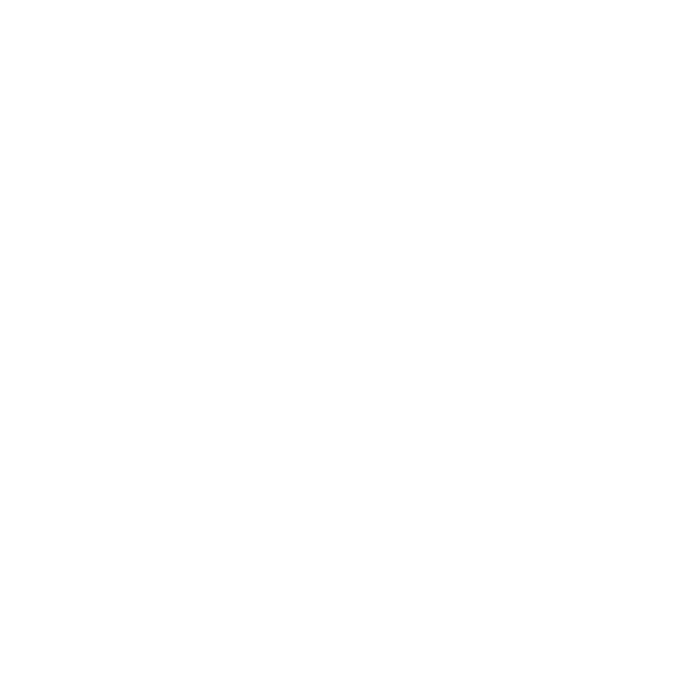 HS Platinum